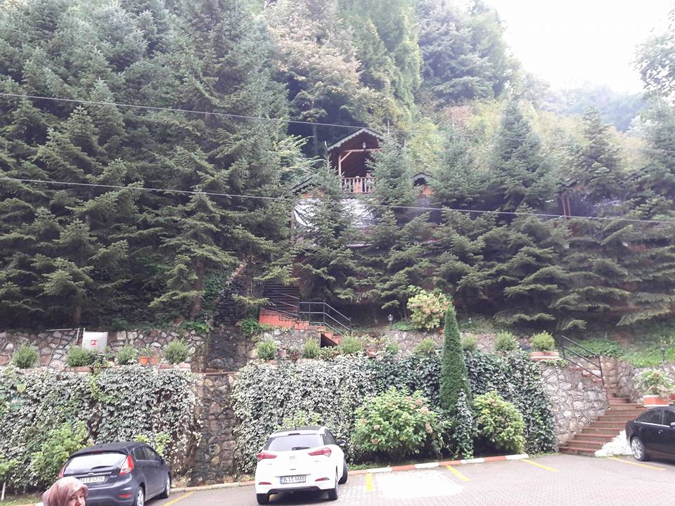 Akyazı Altındere Köyü Resimleri 3