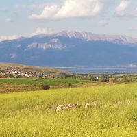 Çivril Tokça Köyü Resimleri 7