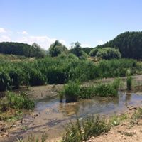 Çivril Tuğlu Köyü Resimleri 8