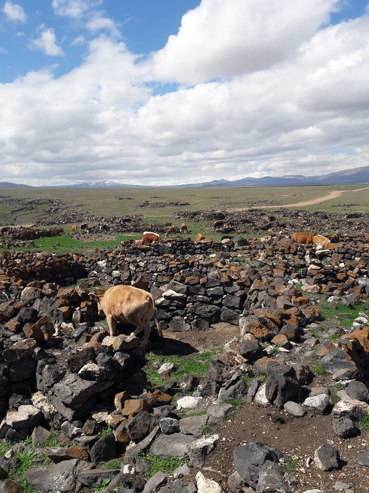 Digor Yeniköy Köyü Resimleri 2