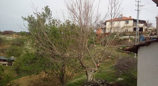 Güney Karagözler Köyü Resimleri 3