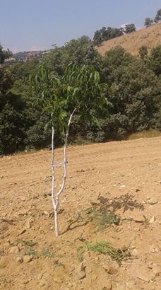 Güney Karagözler Köyü Resimleri 7