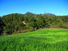 Honaz Aydınlar Köyü Resimleri 1