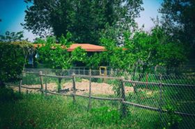 Honaz Emirazizli Köyü Resimleri 2