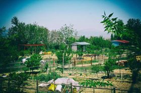 Honaz Emirazizli Köyü Resimleri 3