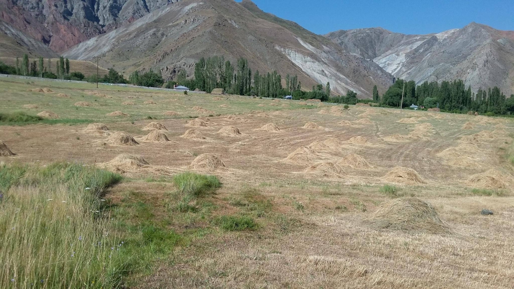Kağızman Akçay Köyü Resimleri 9