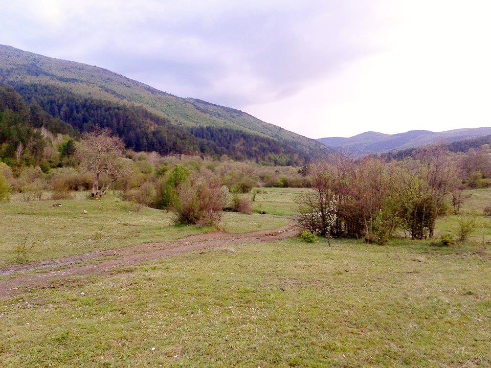 Eflani Abakolu Köyü Resimleri 14