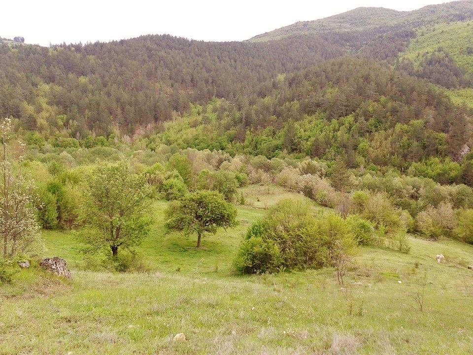 Eflani Abakolu Köyü Resimleri 18