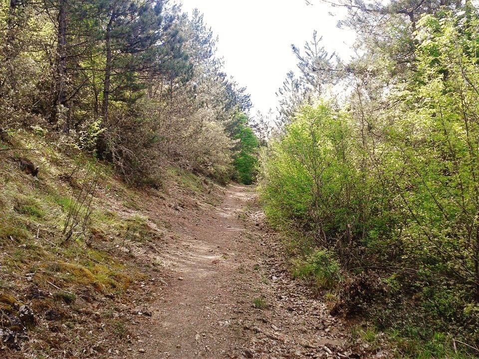 Eflani Abakolu Köyü Resimleri 20