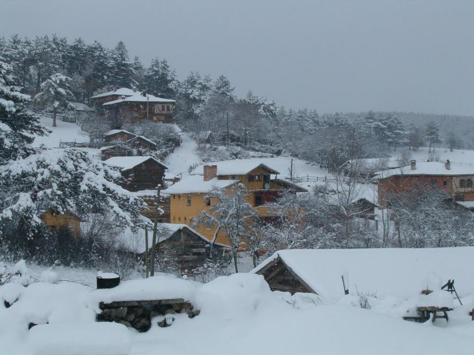 Eflani Abakolu Köyü Resimleri 4
