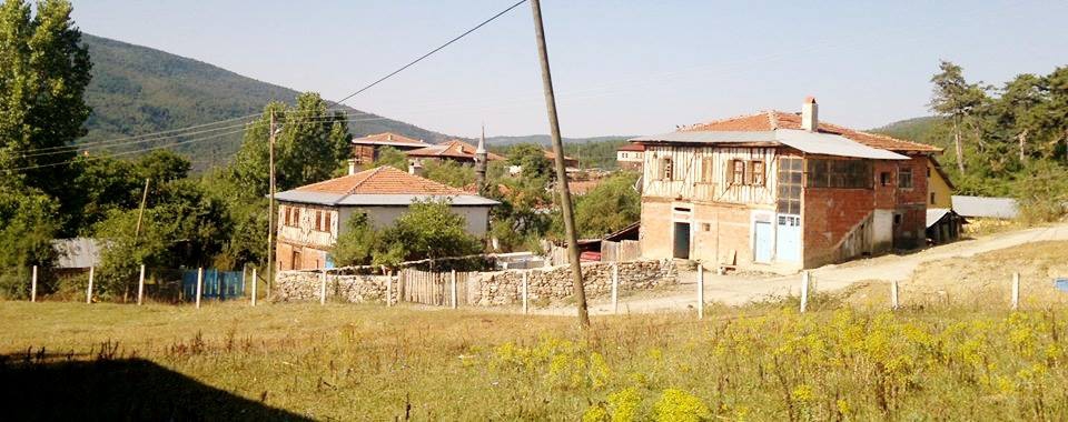 Eflani Abakolu Köyü Resimleri 9