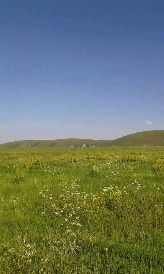 Kağızman Çaybük Köyü Resimleri 4