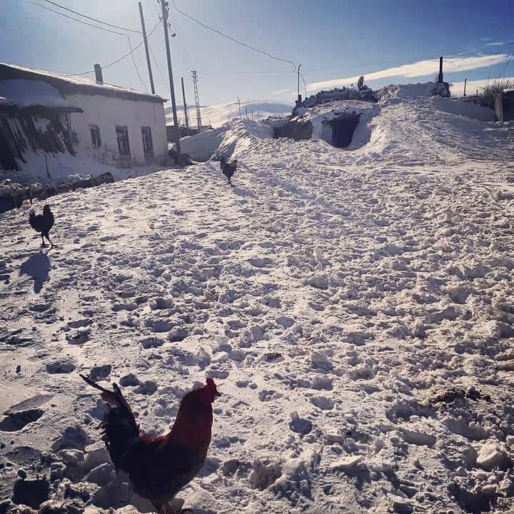 Kağızman Çaybük Köyü Resimleri 5