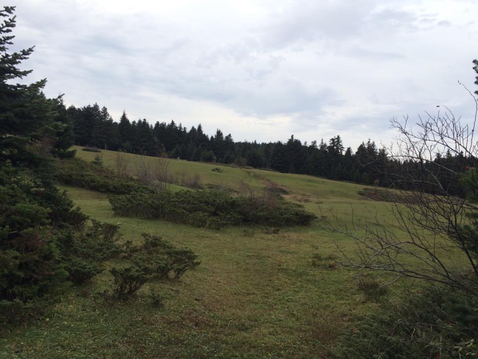 Bolu Ahmetler Köyü Resimleri 12