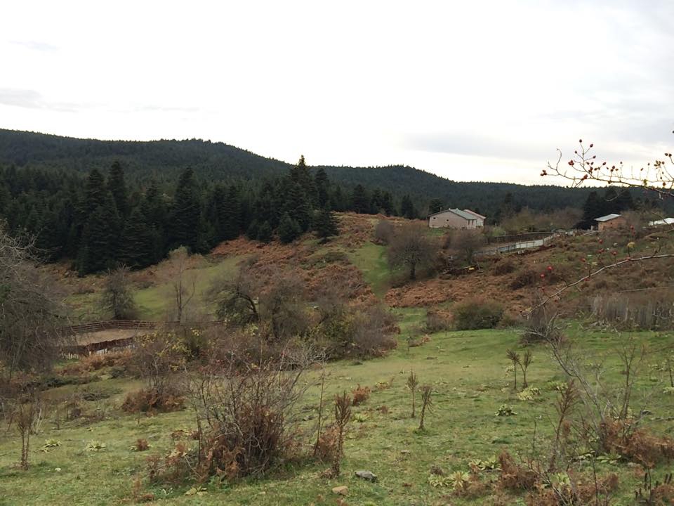 Bolu Ahmetler Köyü Resimleri 16