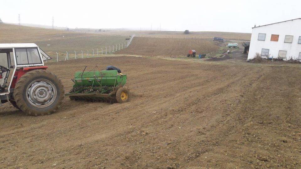 Bolu Ahmetler Köyü Resimleri 17