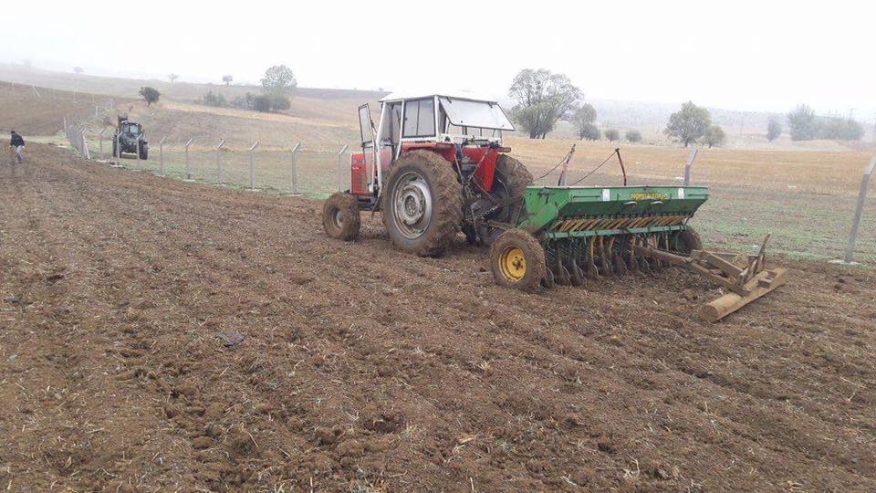 Bolu Ahmetler Köyü Resimleri 18