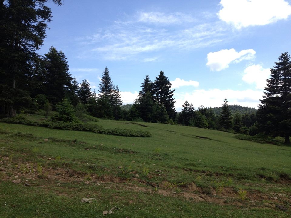 Bolu Ahmetler Köyü Resimleri 20