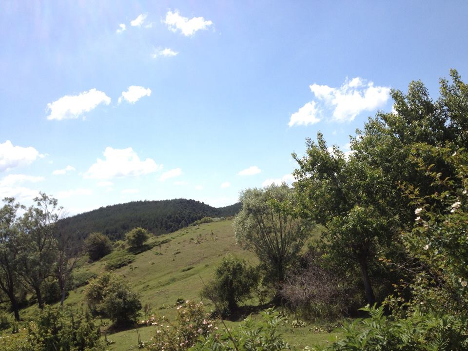 Bolu Ahmetler Köyü Resimleri 21