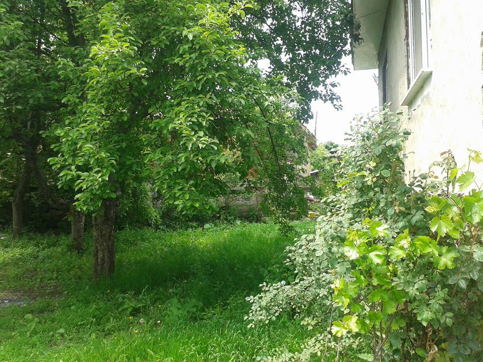 Bolu Ahmetler Köyü Resimleri 37