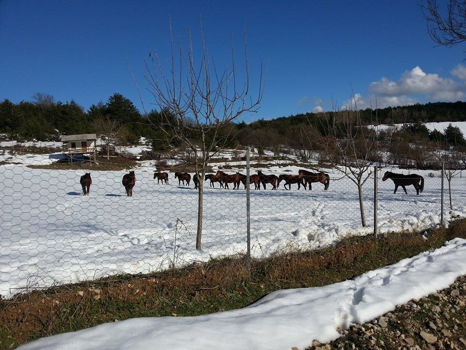 Bolu Ahmetler Köyü Resimleri 40