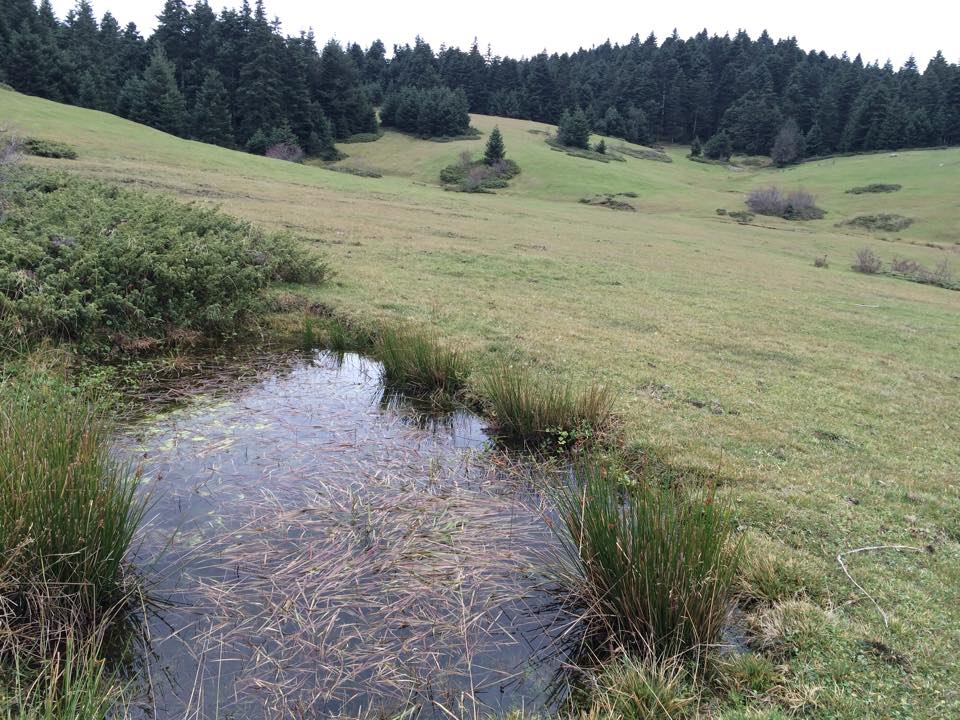 Bolu Ahmetler Köyü Resimleri 43