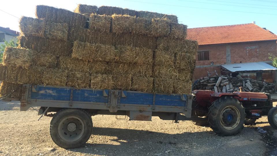 Bolu Ahmetler Köyü Resimleri 8