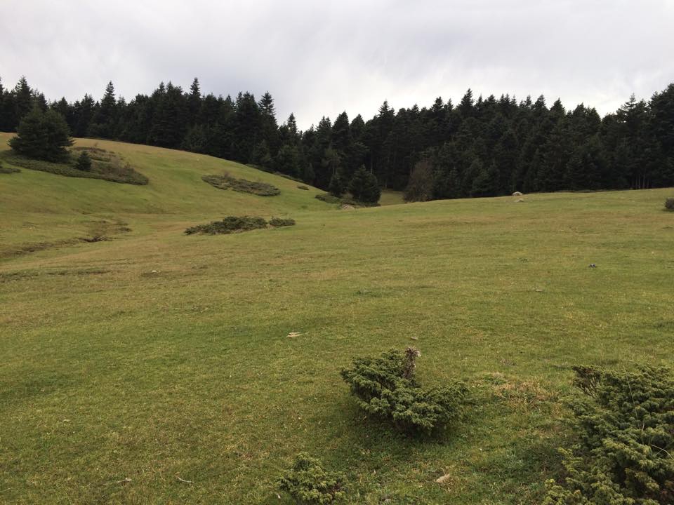 Bolu Ahmetler Köyü Resimleri 9