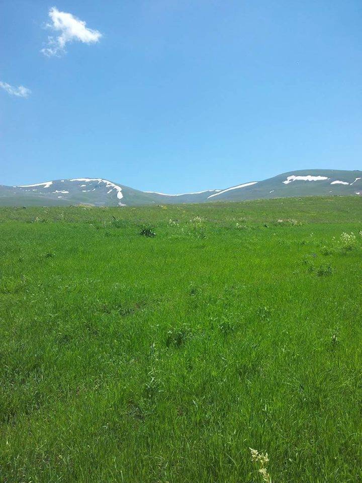 Kağızman Gümüştepe Köyü Resimleri 4