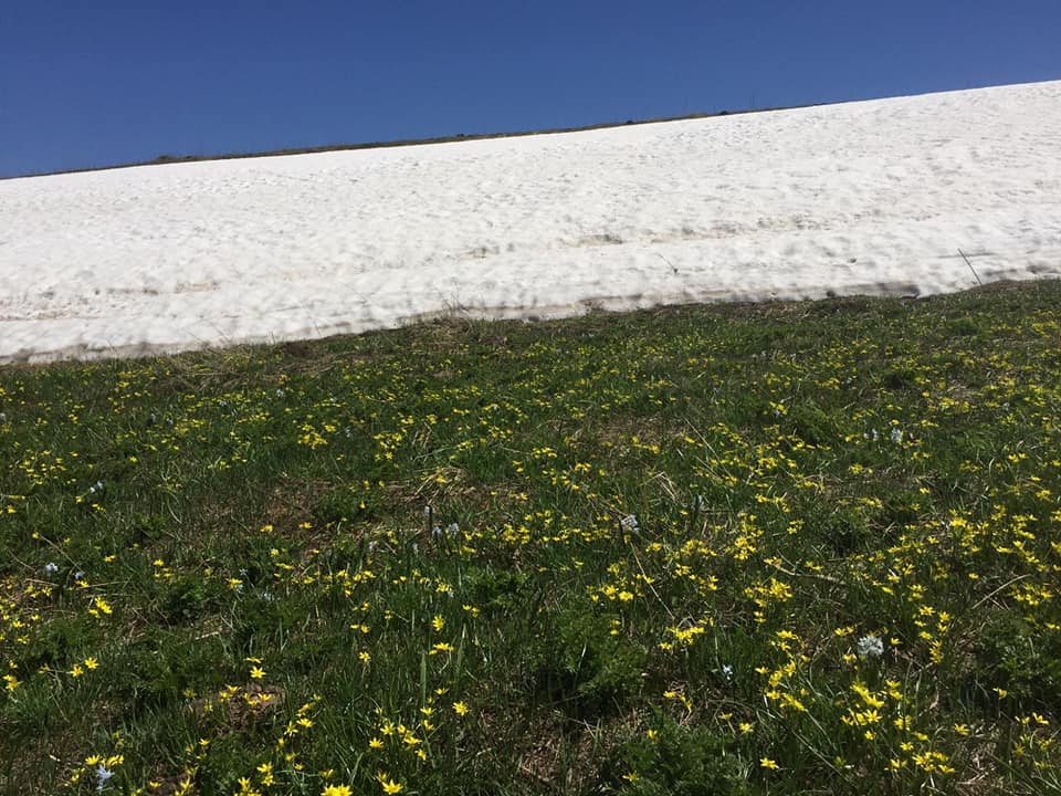 Kağızman Günindi Yaylası Köyü Resimleri 2