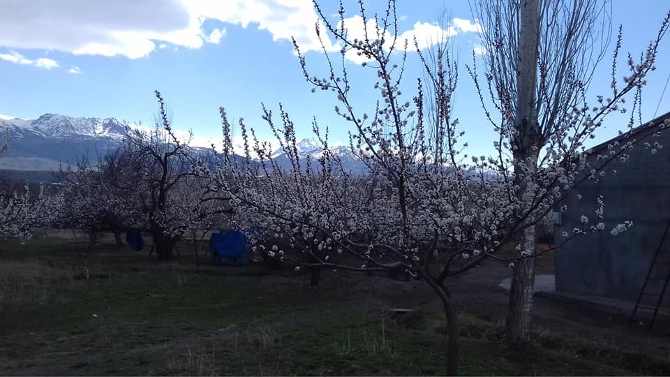 Kağızman Karabağ Köyü Resimleri 7