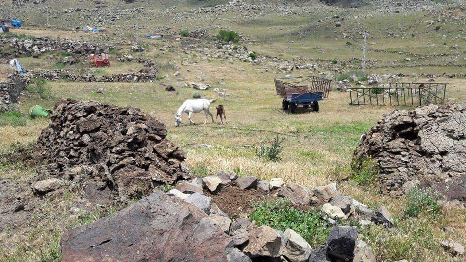 Kağızman Karakale Köyü Resimleri 5