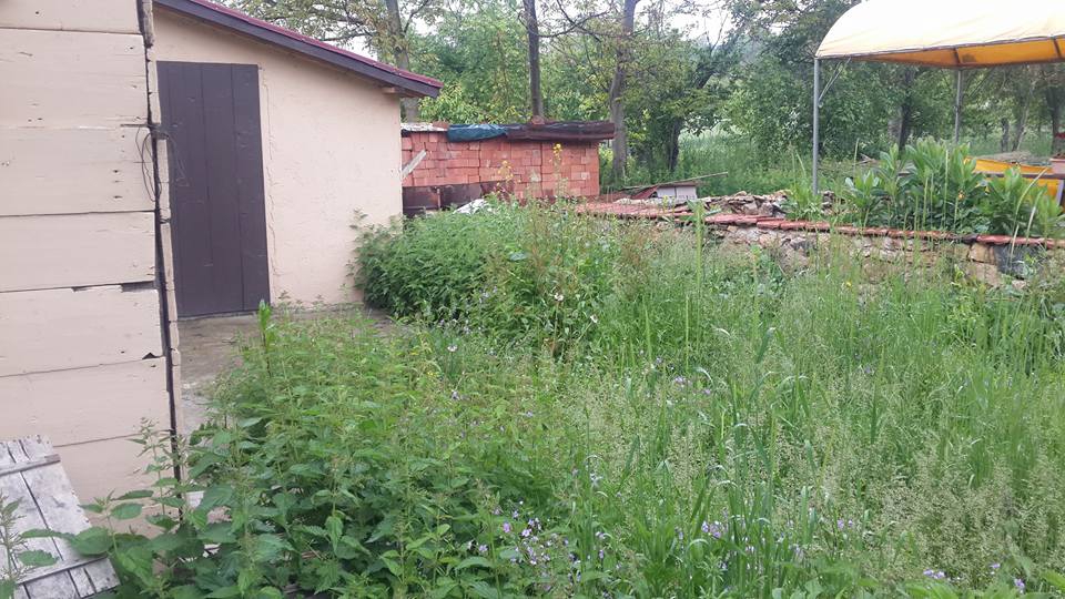 Bolu Ağaççılar Köyü Resimleri 15