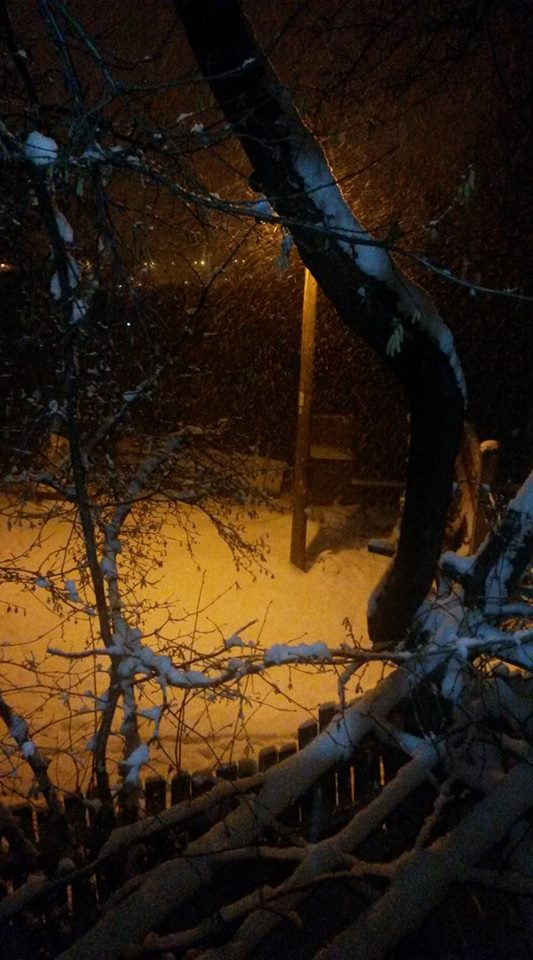 Bolu Ağaççılar Köyü Resimleri 23