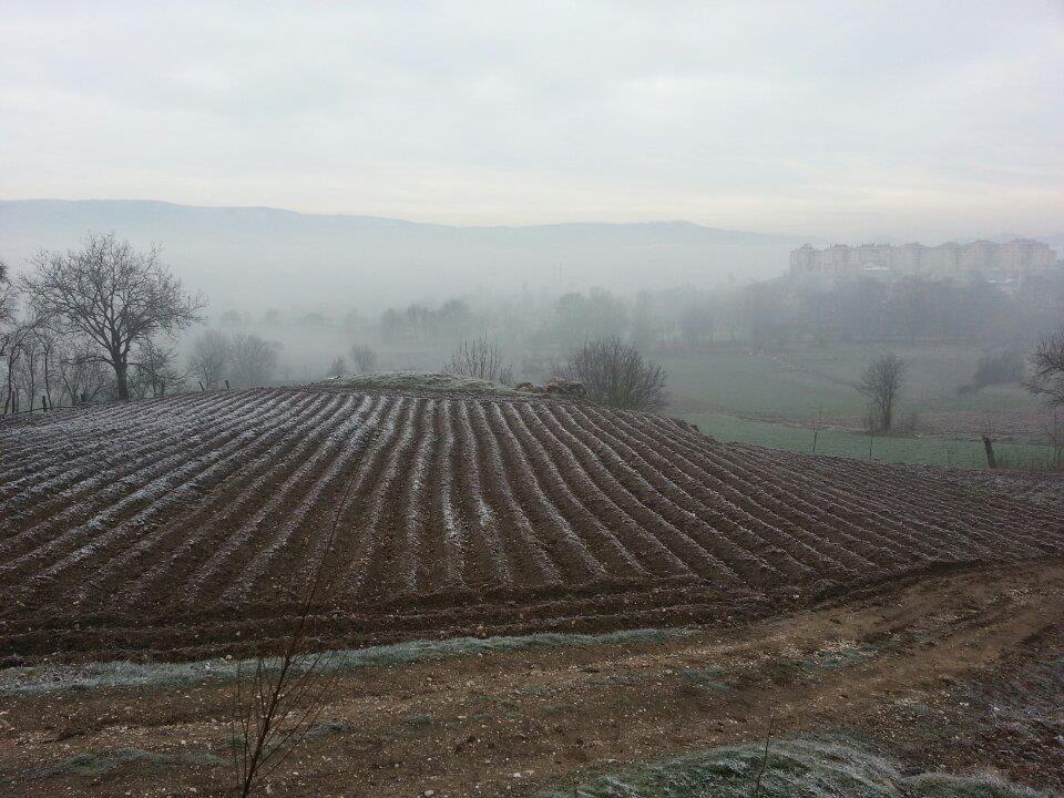 Bolu Ağaççılar Köyü Resimleri 24