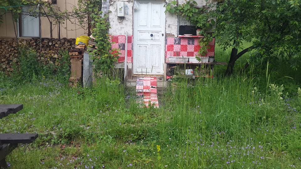 Bolu Ağaççılar Köyü Resimleri 27