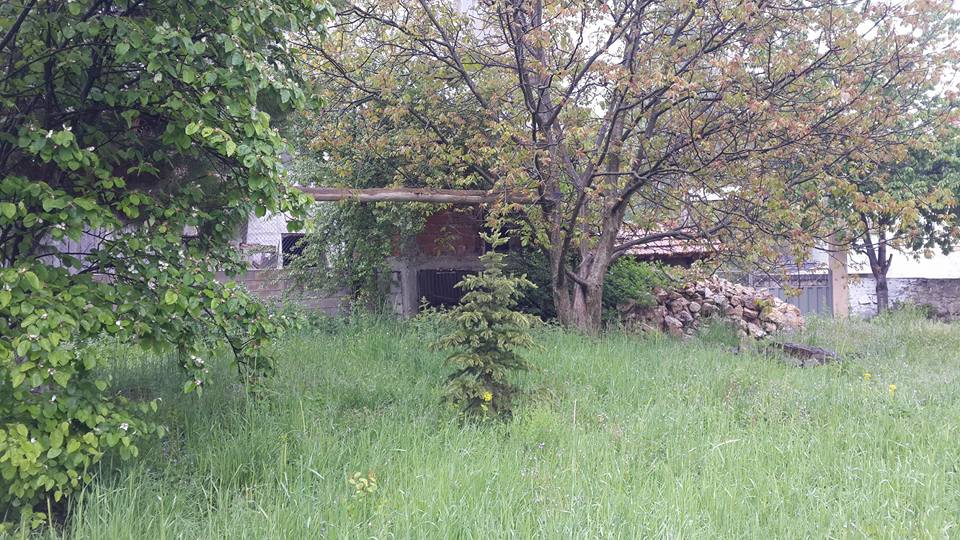 Bolu Ağaççılar Köyü Resimleri 32