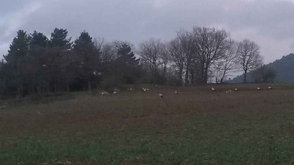 Bolu Ağaççılar Köyü Resimleri 6
