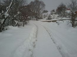 Bolu Ağaççılar Köyü Resimleri 9