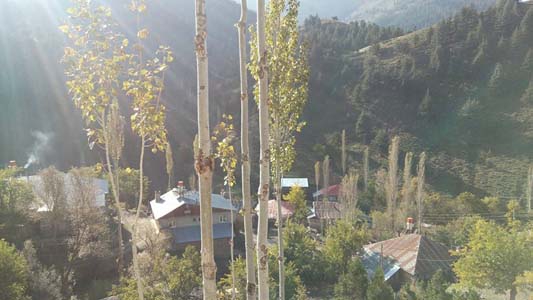 Adana Saimbeyli Naltaş Köyü Resimleri 11