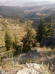 Adana Saimbeyli Naltaş Köyü Resimleri 14