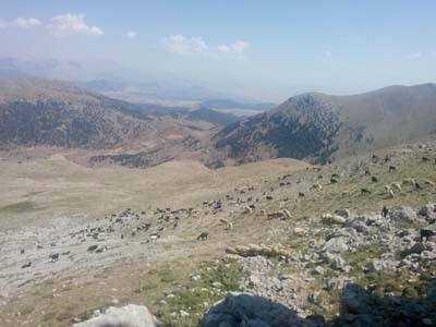 Adana Saimbeyli Naltaş Köyü Resimleri 15