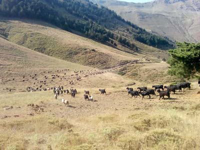 Adana Saimbeyli Naltaş Köyü Resimleri 17