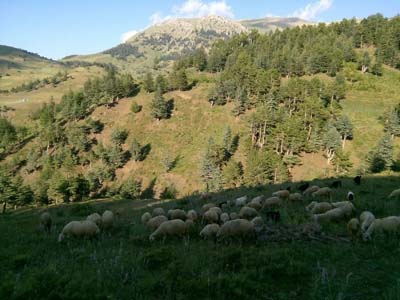 Adana Saimbeyli Naltaş Köyü Resimleri 19
