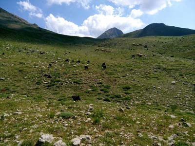 Adana Saimbeyli Naltaş Köyü Resimleri 22