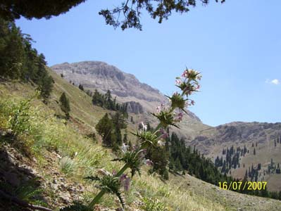 Adana Saimbeyli Naltaş Köyü Resimleri 26