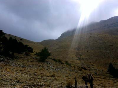 Adana Saimbeyli Naltaş Köyü Resimleri 28