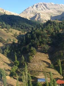 Adana Saimbeyli Naltaş Köyü Resimleri 4