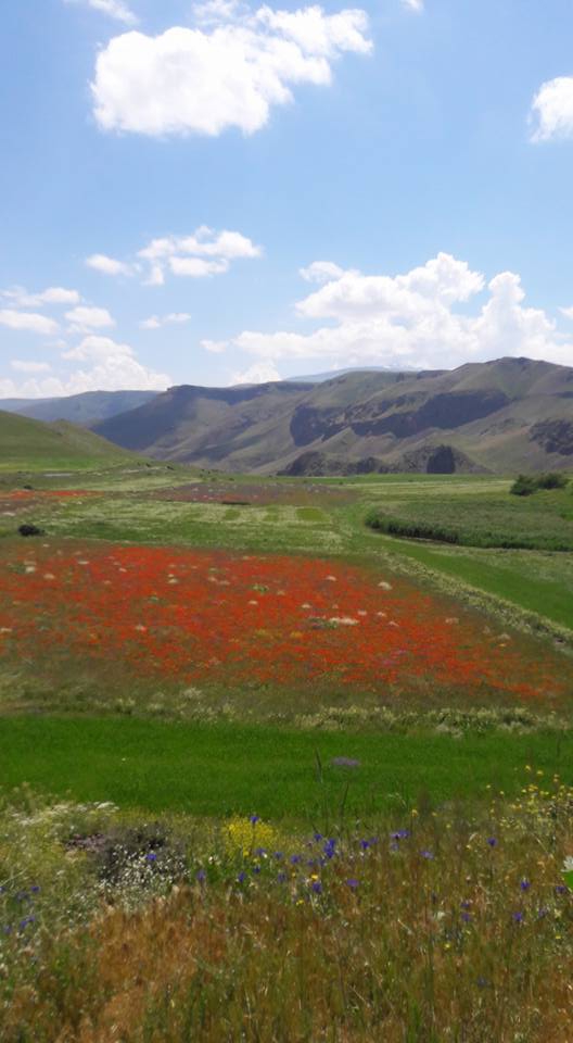 Kağızman Paslı Köyü Resimleri 2
