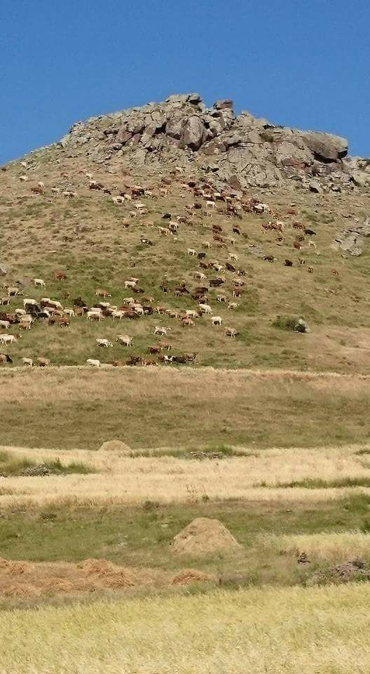 Kağızman Taşbilek Köyü Resimleri 5